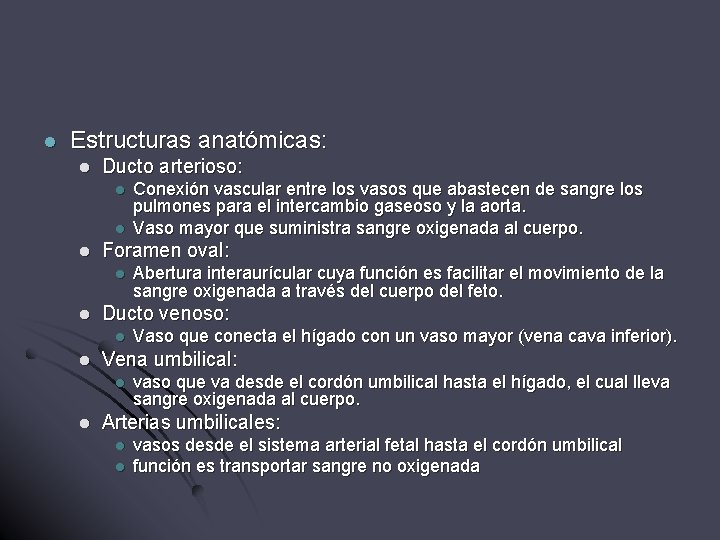 l Estructuras anatómicas: l Ducto arterioso: l l l Foramen oval: l l Vaso