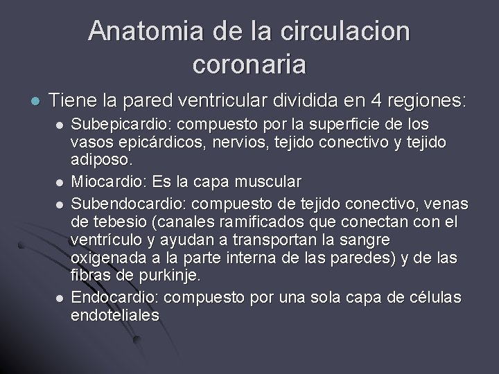 Anatomia de la circulacion coronaria l Tiene la pared ventricular dividida en 4 regiones: