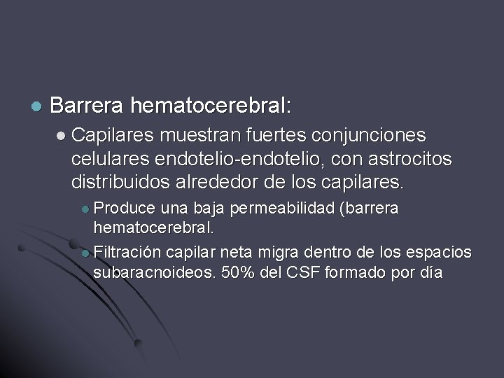 l Barrera hematocerebral: l Capilares muestran fuertes conjunciones celulares endotelio-endotelio, con astrocitos distribuidos alrededor