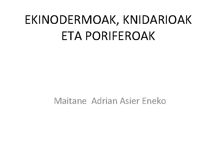 EKINODERMOAK, KNIDARIOAK ETA PORIFEROAK Maitane Adrian Asier Eneko 