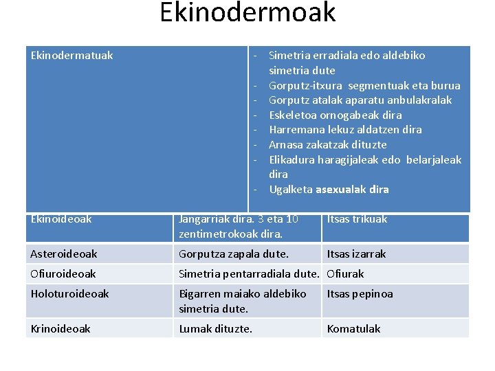 Ekinodermoak - Simetria erradiala edo aldebiko simetria dute - Gorputz-itxura segmentuak eta burua -