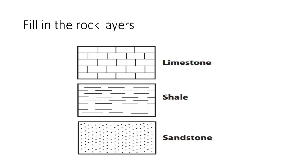 Fill in the rock layers 