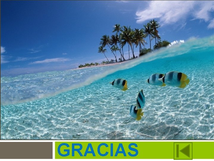 GRACIAS GRACIAS
