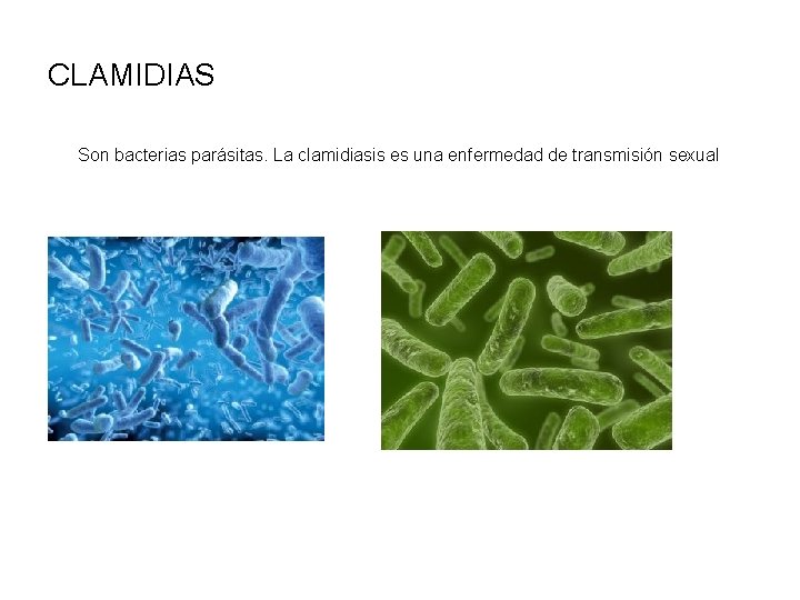 CLAMIDIAS Son bacterias parásitas. La clamidiasis es una enfermedad de transmisión sexual 