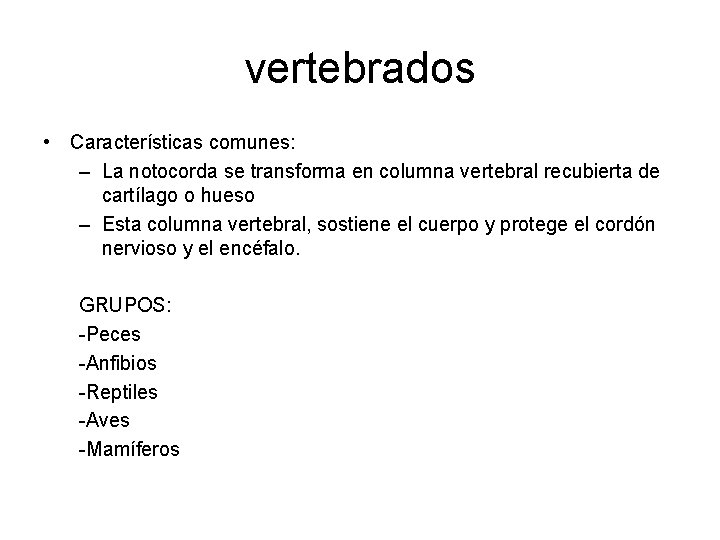 vertebrados • Características comunes: – La notocorda se transforma en columna vertebral recubierta de