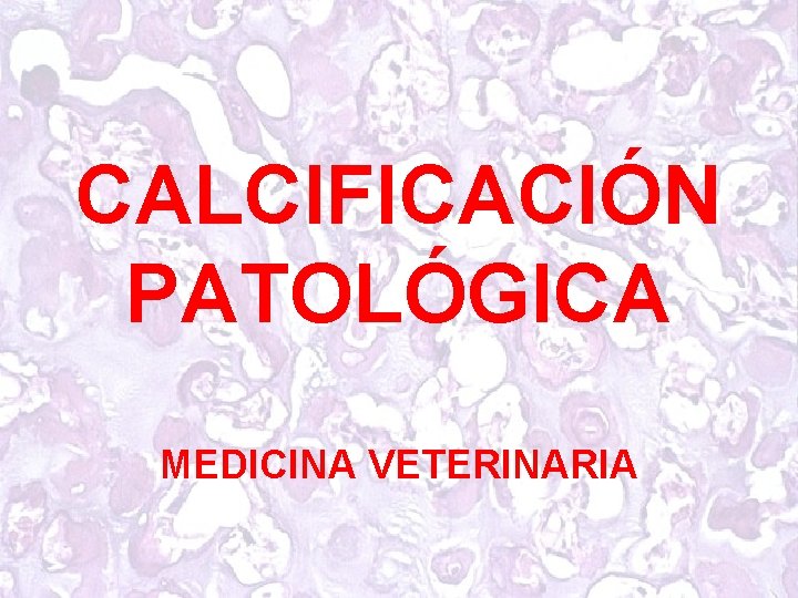 CALCIFICACIÓN PATOLÓGICA MEDICINA VETERINARIA 