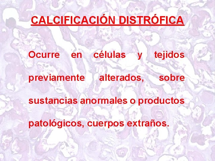 CALCIFICACIÓN DISTRÓFICA Ocurre en previamente células y tejidos alterados, sobre sustancias anormales o productos