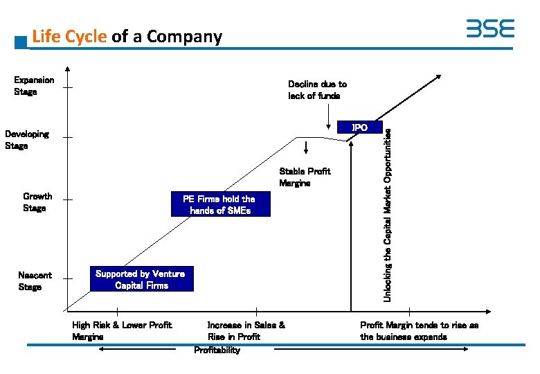 Life Cycle of a Company Expansion Stage IPO Developing Stage Stable Profit Margins Growth