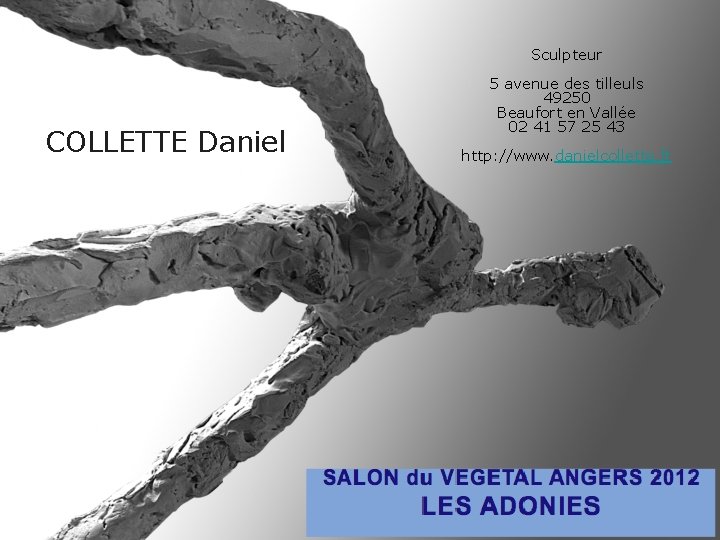 Sculpteur COLLETTE Daniel 5 avenue des tilleuls 49250 Beaufort en Vallée 02 41 57