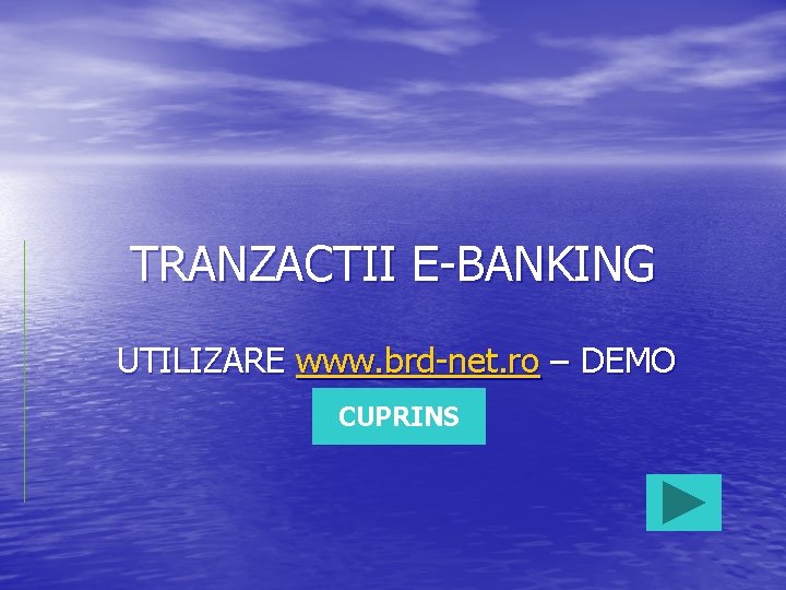 TRANZACTII E-BANKING UTILIZARE www. brd-net. ro – DEMO CUPRINS 