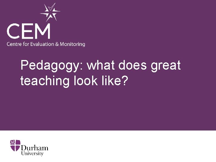 Pedagogy: what does great teaching look like? 