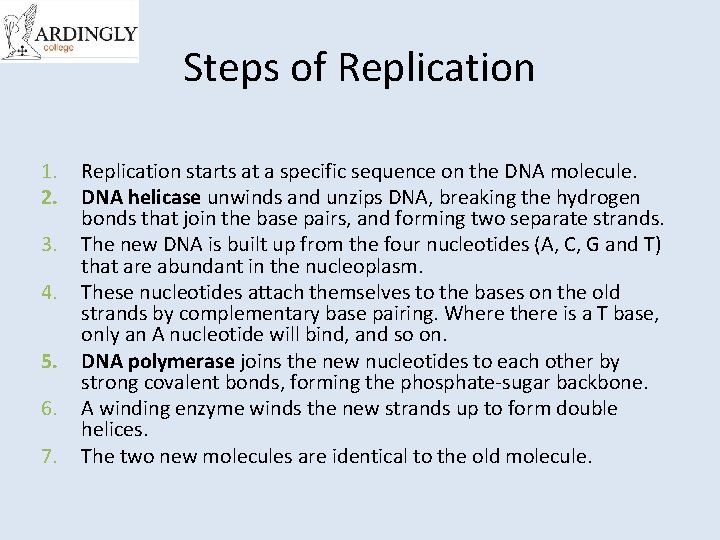 Steps of Replication 1. 2. 3. 4. 5. 6. 7. Replication starts at a