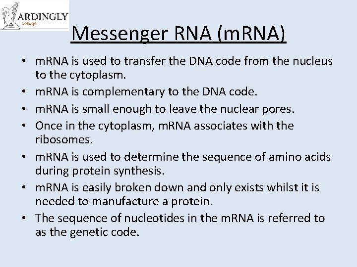 Messenger RNA (m. RNA) • m. RNA is used to transfer the DNA code
