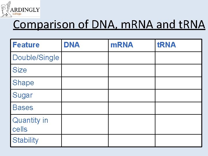 Comparison of DNA, m. RNA and t. RNA Feature Double/Single Size Shape Sugar Bases