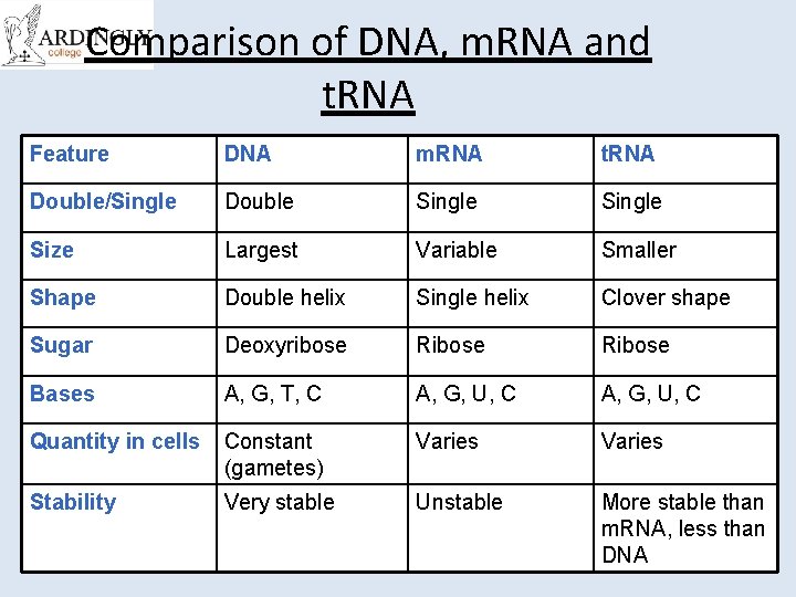 Comparison of DNA, m. RNA and t. RNA Feature DNA m. RNA t. RNA