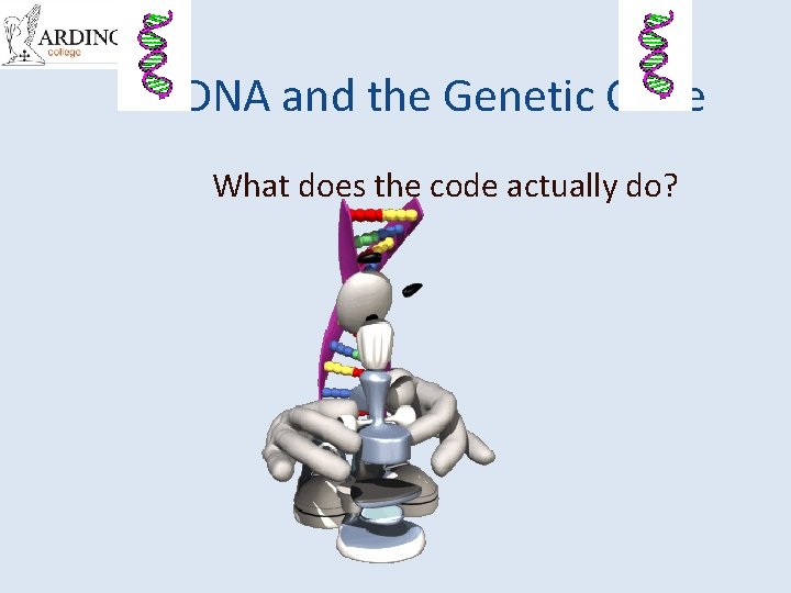 DNA and the Genetic Code What does the code actually do? 