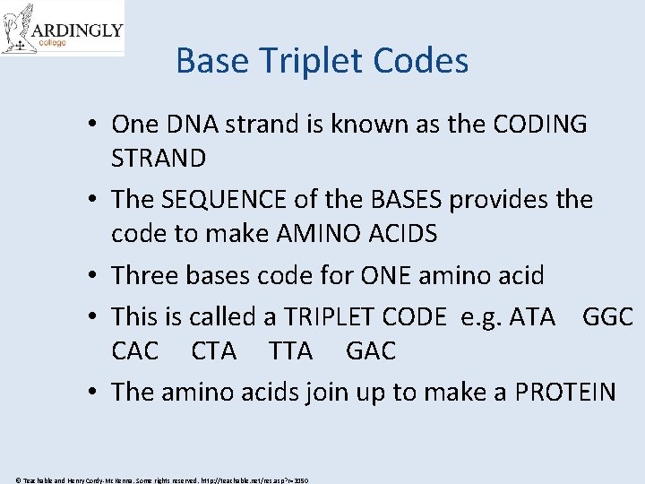 Base Triplet Codes • One DNA strand is known as the CODING STRAND •