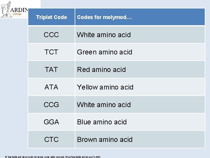 Triplet Codes for molymod… CCC White amino acid TCT Green amino acid TAT Red