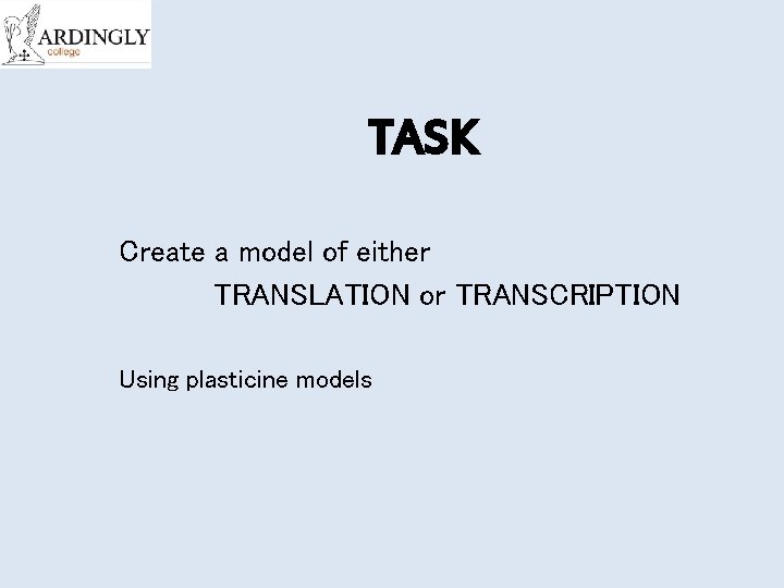 TASK Create a model of either TRANSLATION or TRANSCRIPTION Using plasticine models 