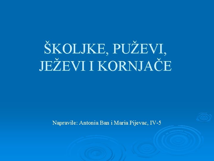 ŠKOLJKE, PUŽEVI, JEŽEVI I KORNJAČE Napravile: Antonia Ban i Maria Pijevac, IV-5 