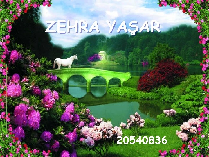 ZEHRA YAŞAR 20540836 /17 