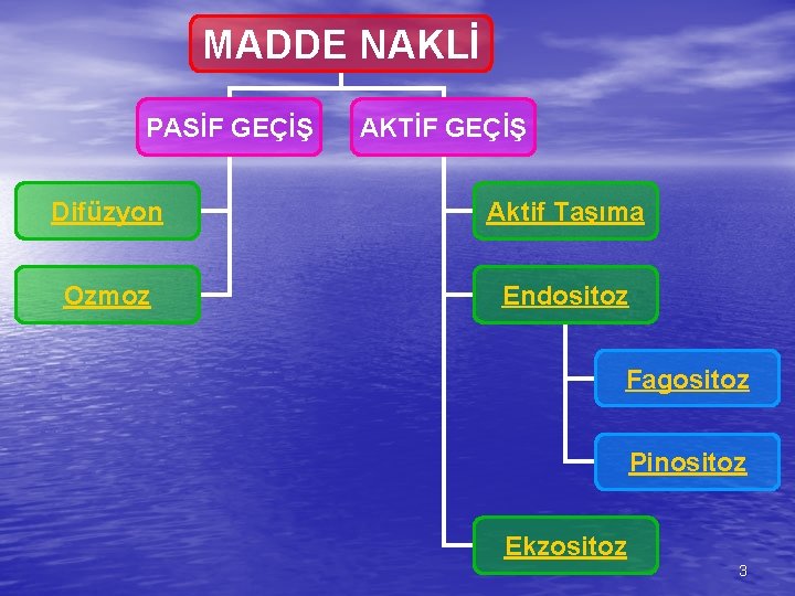 MADDE NAKLİ PASİF GEÇİŞ AKTİF GEÇİŞ Difüzyon Aktif Taşıma Ozmoz Endositoz Fagositoz Pinositoz Ekzositoz