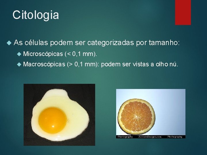 Citologia As células podem ser categorizadas por tamanho: Microscópicas (< 0, 1 mm). Macroscópicas