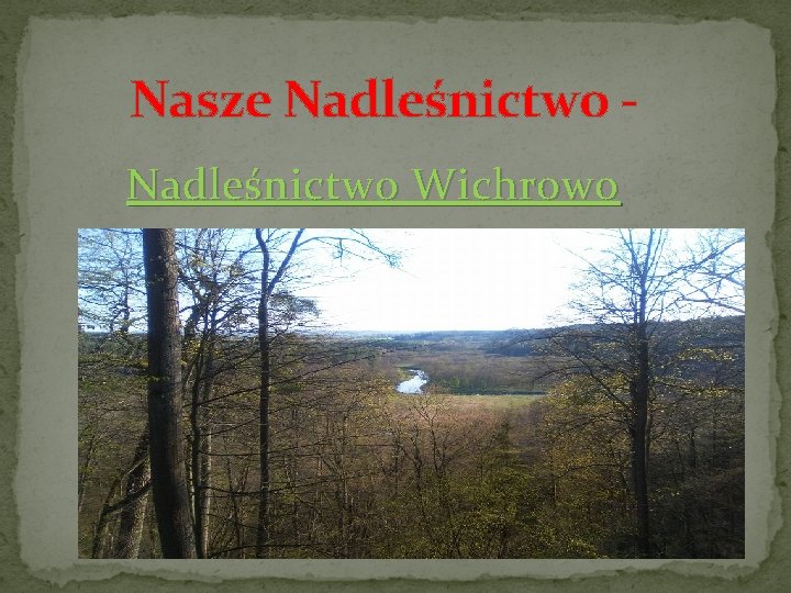 Nasze Nadleśnictwo Wichrowo 