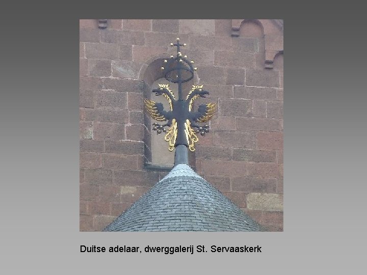 Duitse adelaar, dwerggalerij St. Servaaskerk 