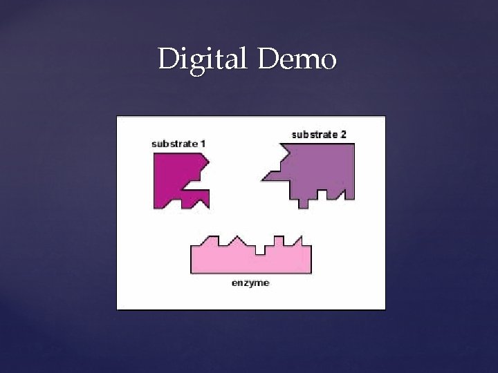 Digital Demo 