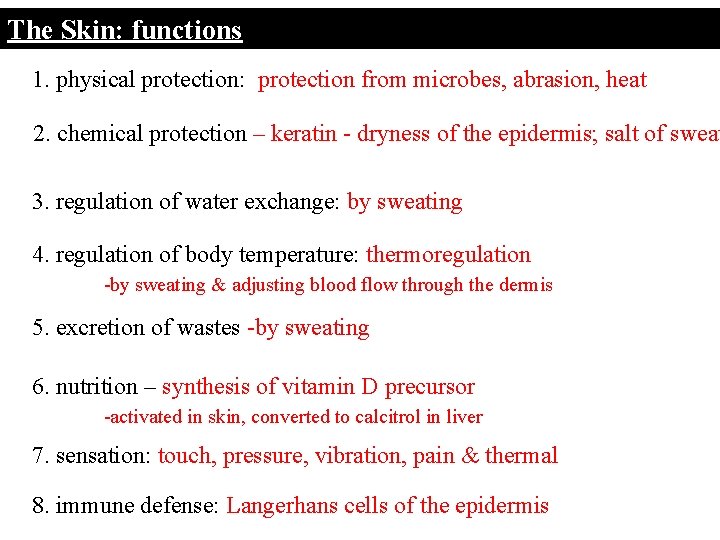 The Skin: functions 1. physical protection: protection from microbes, abrasion, heat 2. chemical protection