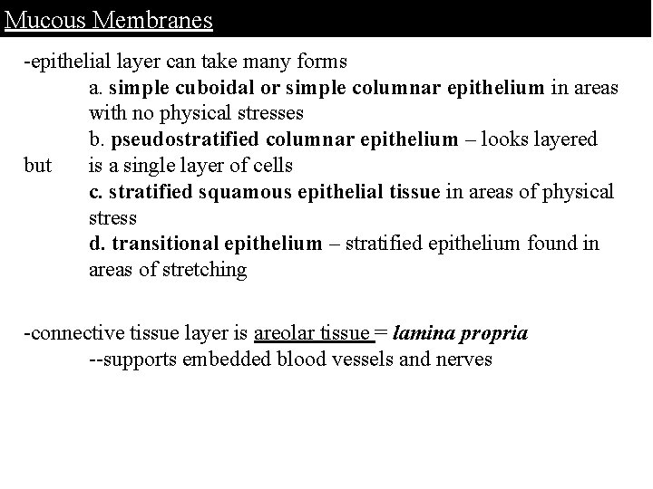 Mucous Membranes -epithelial layer can take many forms a. simple cuboidal or simple columnar