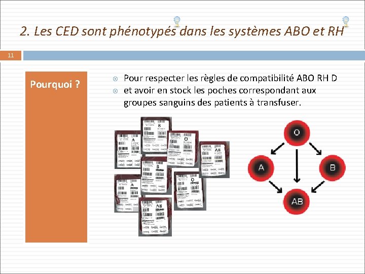 2. Les CED sont phénotypés dans les systèmes ABO et RH 11 Pourquoi ?