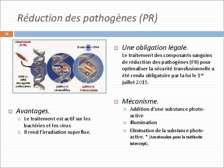 Réduction des pathogènes (PR) 24 Une obligation légale. Le traitement des composants sanguins de