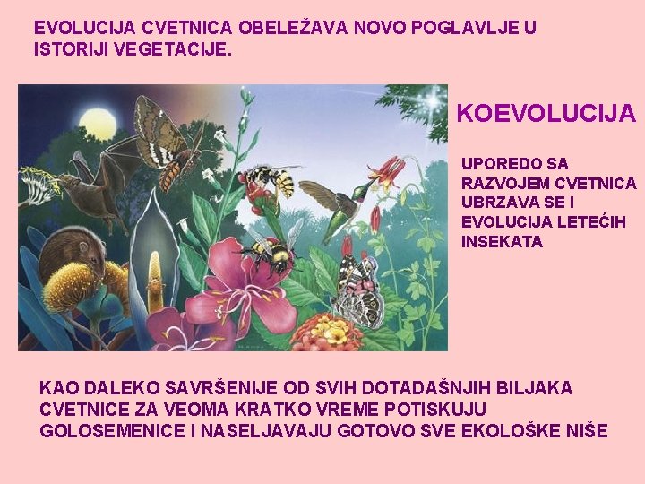 EVOLUCIJA CVETNICA OBELEŽAVA NOVO POGLAVLJE U ISTORIJI VEGETACIJE. KOEVOLUCIJA UPOREDO SA RAZVOJEM CVETNICA UBRZAVA