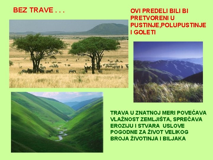 BEZ TRAVE. . . OVI PREDELI BI PRETVORENI U PUSTINJE, POLUPUSTINJE I GOLETI TRAVA