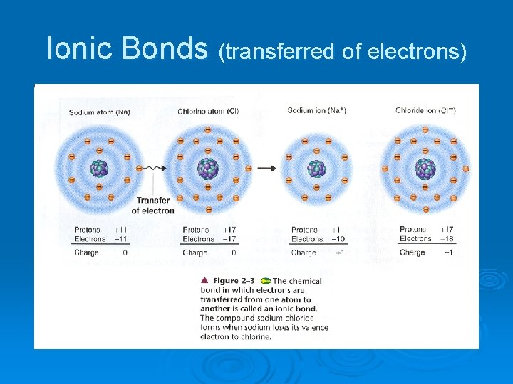 Ionic Bonds (transferred of electrons) 
