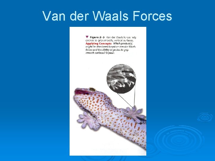 Van der Waals Forces 