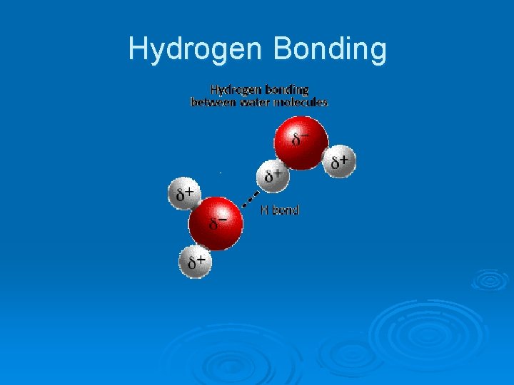 Hydrogen Bonding 