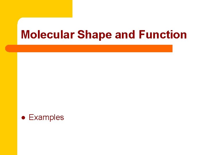 Molecular Shape and Function l Examples 