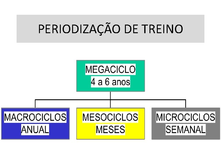 PERIODIZAÇÃO DE TREINO 