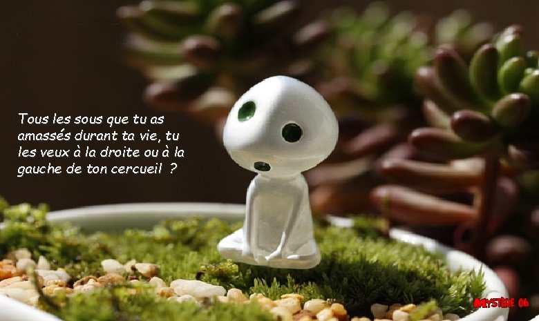 Tous les sous que tu as amassés durant ta vie, tu les veux à