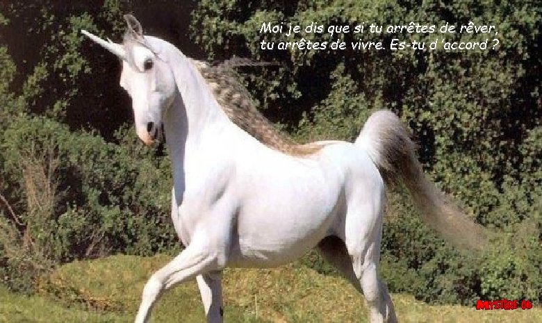Moi je dis que si tu arrêtes de rêver, tu arrêtes de vivre. Es-tu