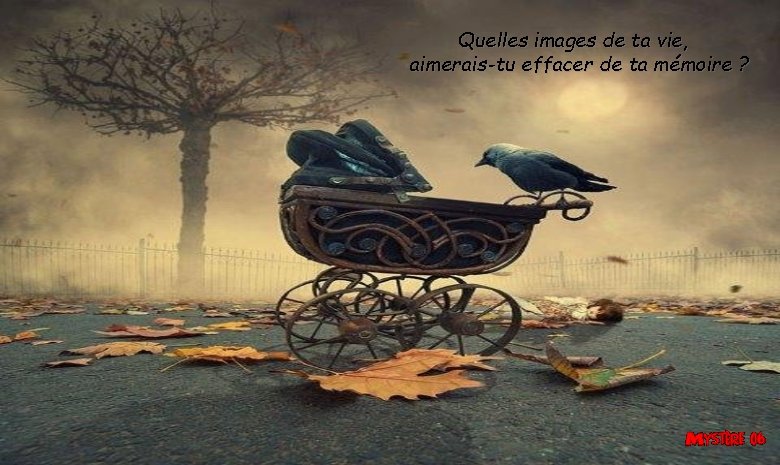 Quelles images de ta vie, aimerais-tu effacer de ta mémoire ? 