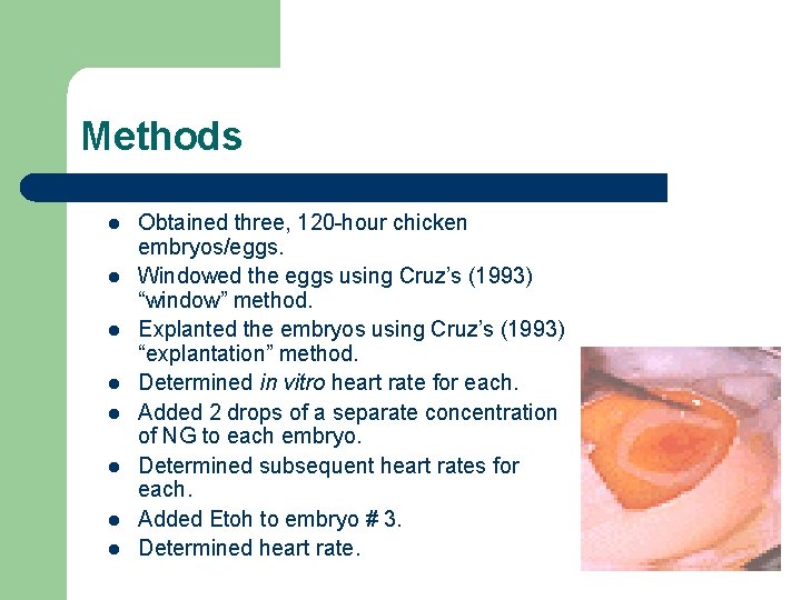 Methods l l l l Obtained three, 120 -hour chicken embryos/eggs. Windowed the eggs