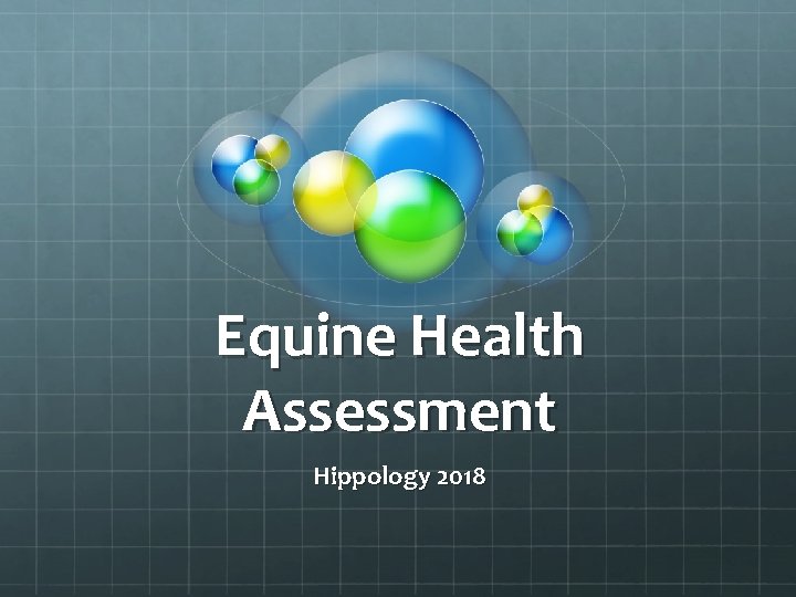Equine Health Assessment Hippology 2018 