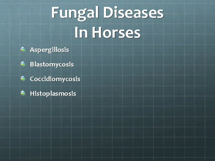 Fungal Diseases In Horses Aspergillosis Blastomycosis Coccidiomycosis Histoplasmosis 