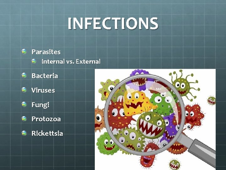 INFECTIONS Parasites Internal vs. External Bacteria Viruses Fungi Protozoa Rickettsia 