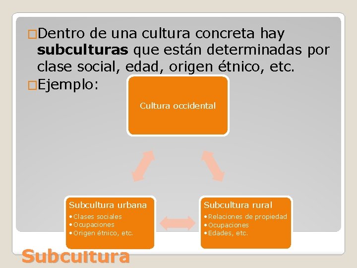 �Dentro de una cultura concreta hay subculturas que están determinadas por clase social, edad,