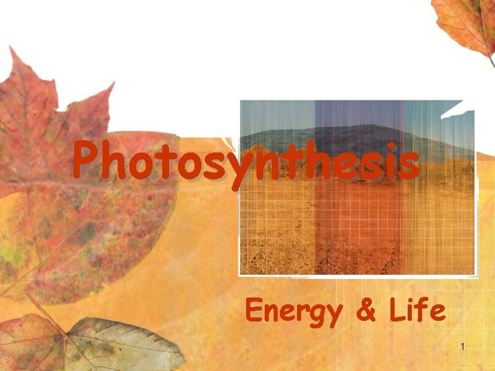 Photosynthesis Energy & Life 1 